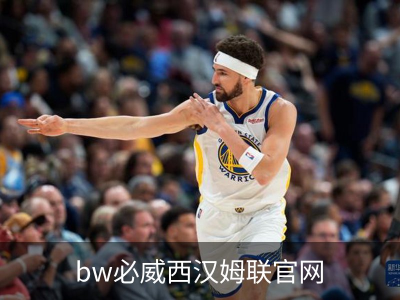 bw必威西汉姆联官网概况